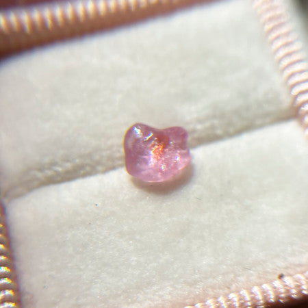 Rough Uncut Pink Orange Bicolor Montana Sapphire