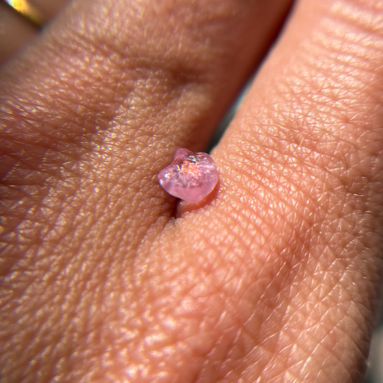 Rough Uncut Pink Orange Bicolor Montana Sapphire