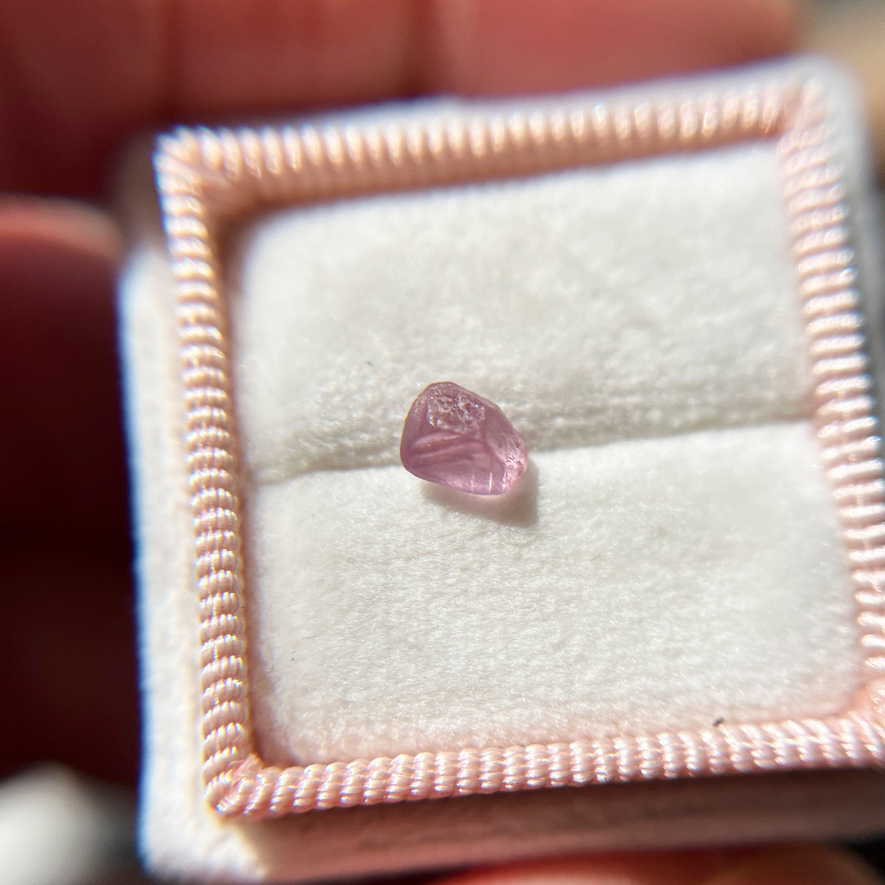 Rough Uncut Pink Montana Sapphire