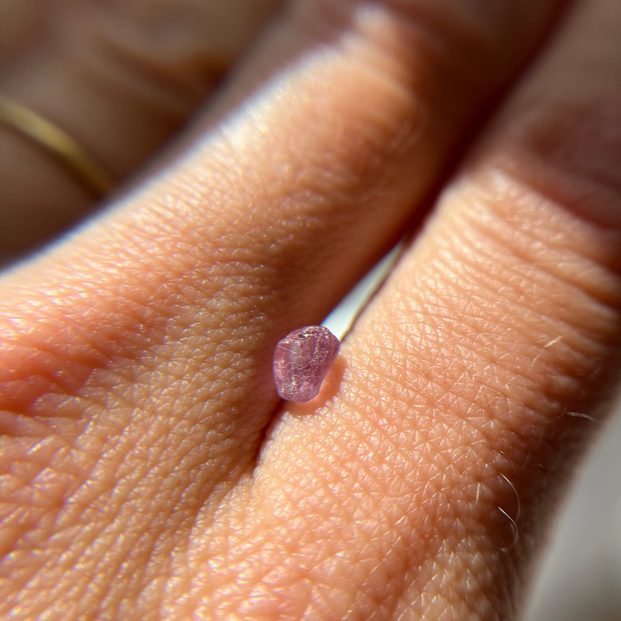 Rough Uncut Pink Montana Sapphire