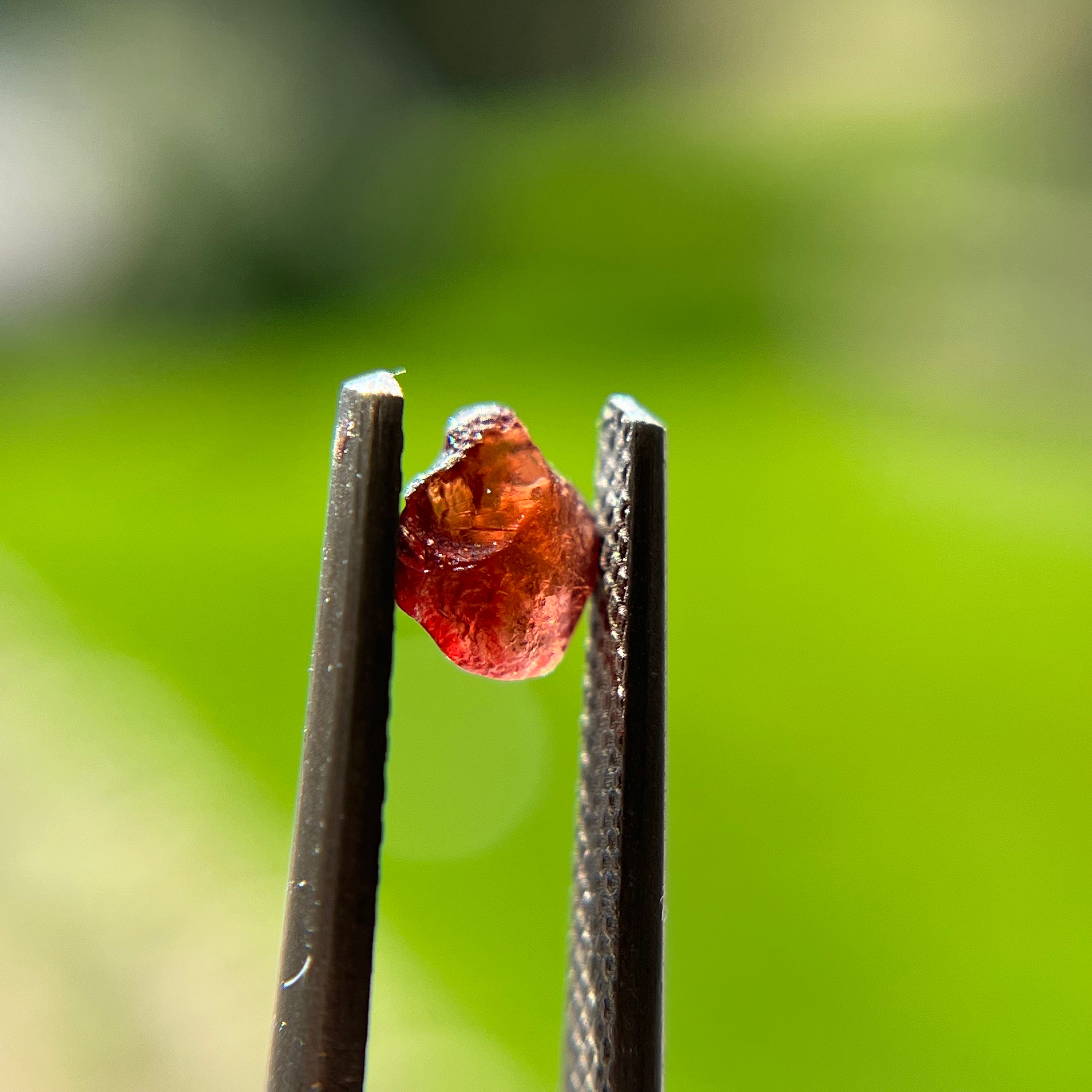 Rough Uncut Rust Red Montana Sapphire 1030