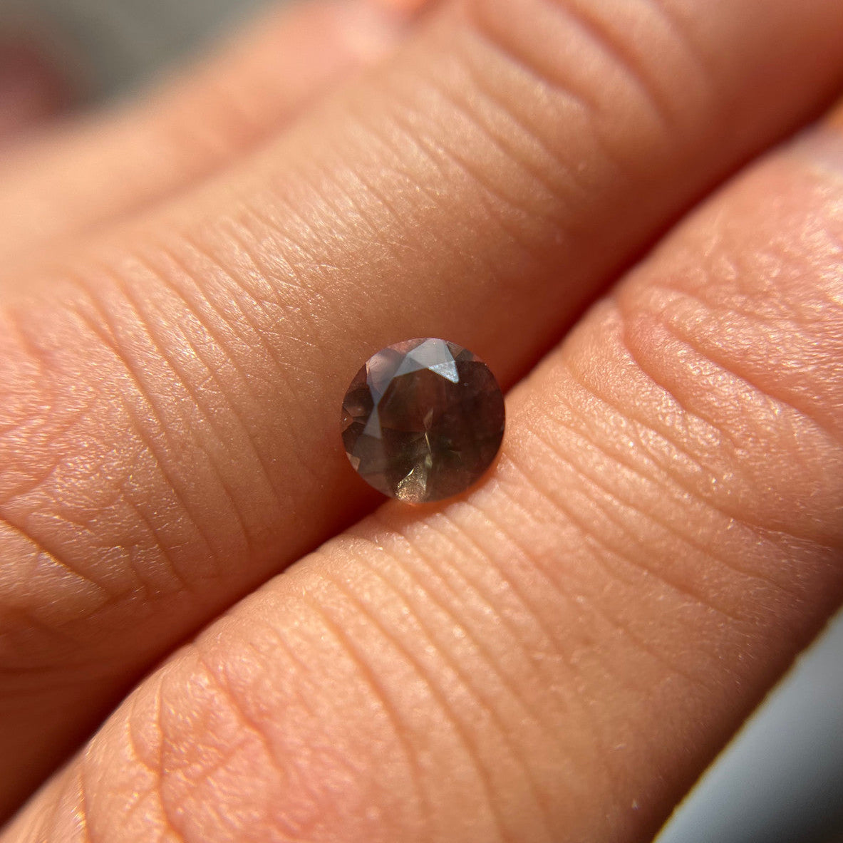 Dark Bicolor Oregon Sunstone
