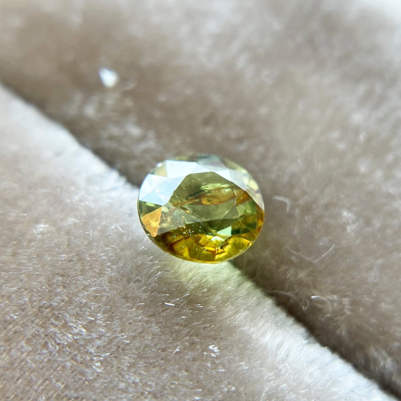 Golden Lime Green Particolour Montana Sapphire