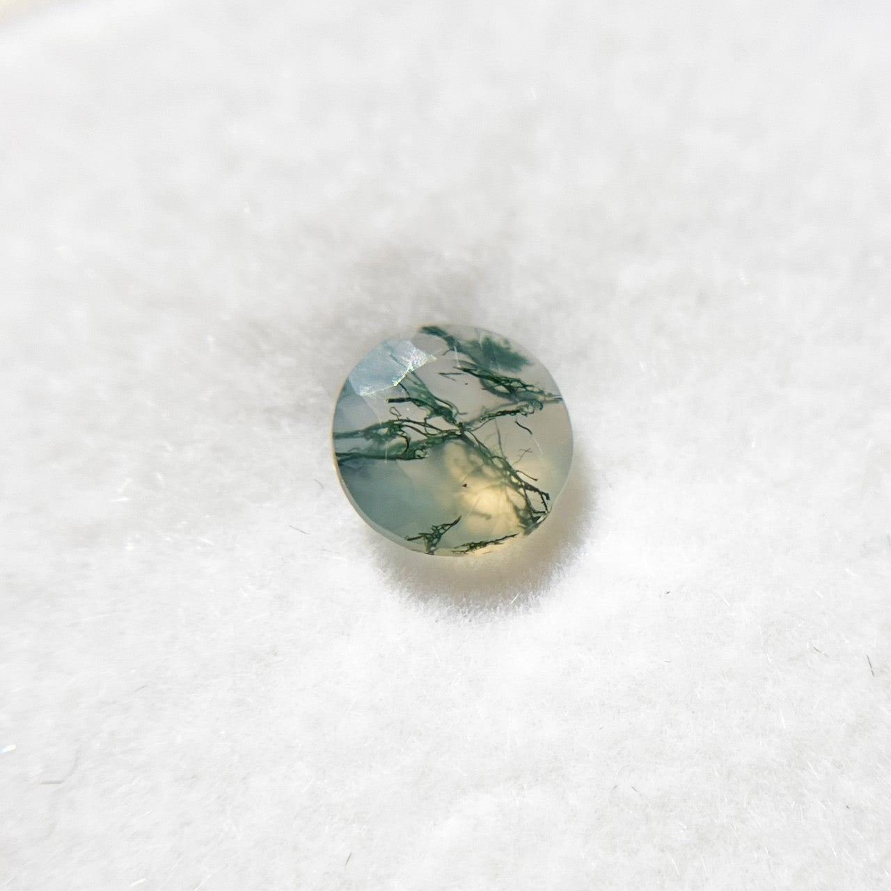 Intricately Veined Round Cut Moss Agate