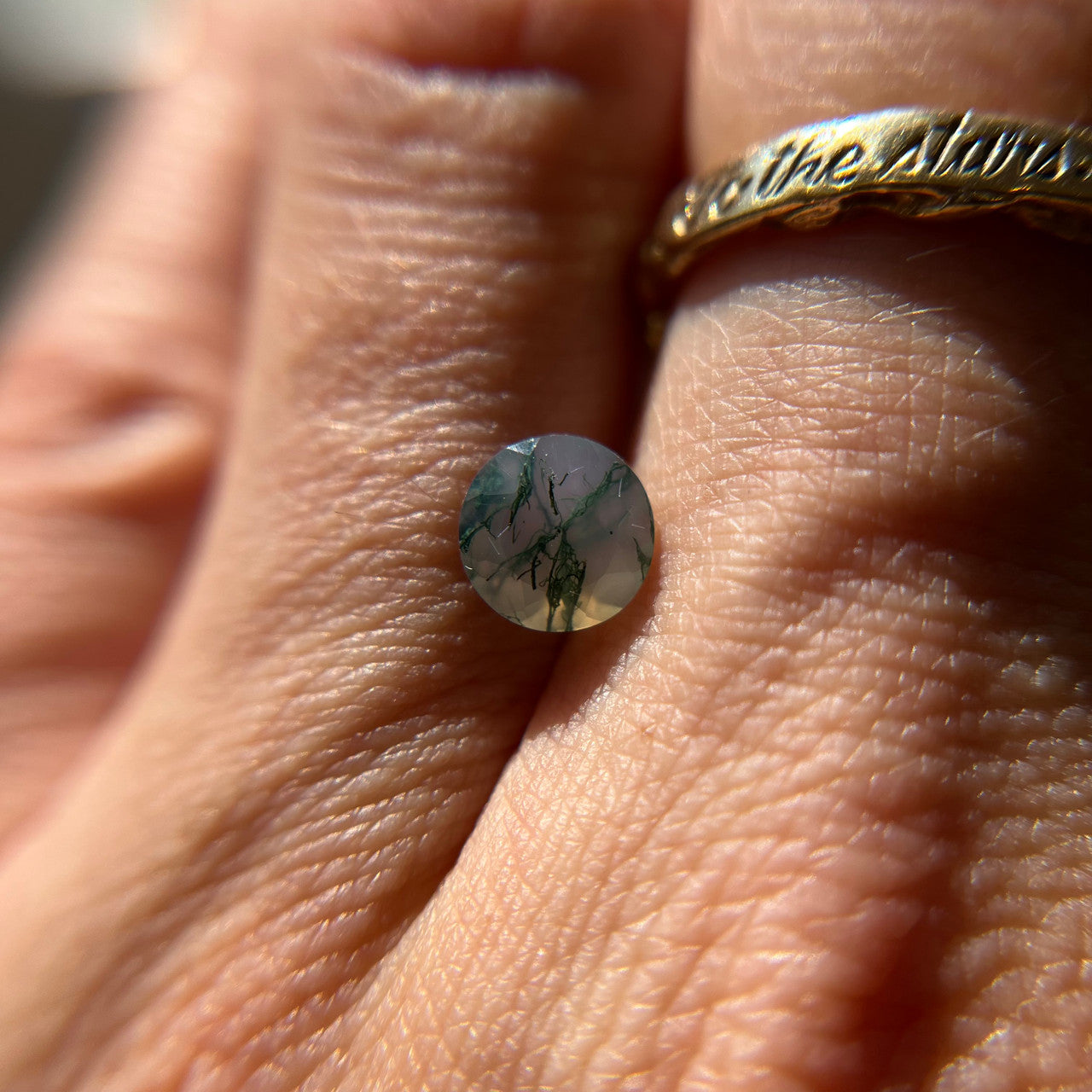 Intricately Veined Round Cut Moss Agate