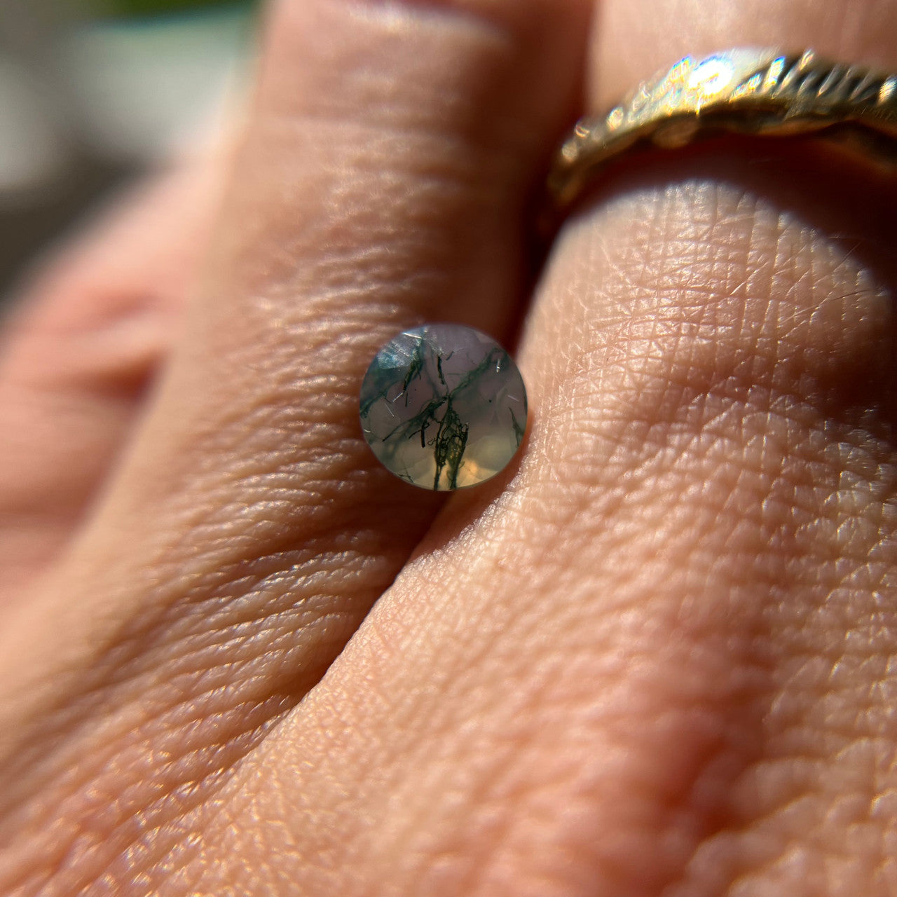Intricately Veined Round Cut Moss Agate