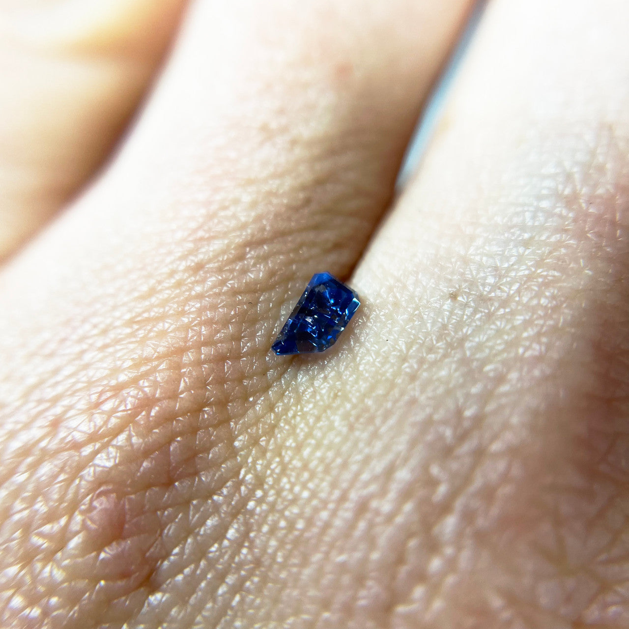 Blue Sapphire Freeform Dreamscape™ Cut by John Dyer