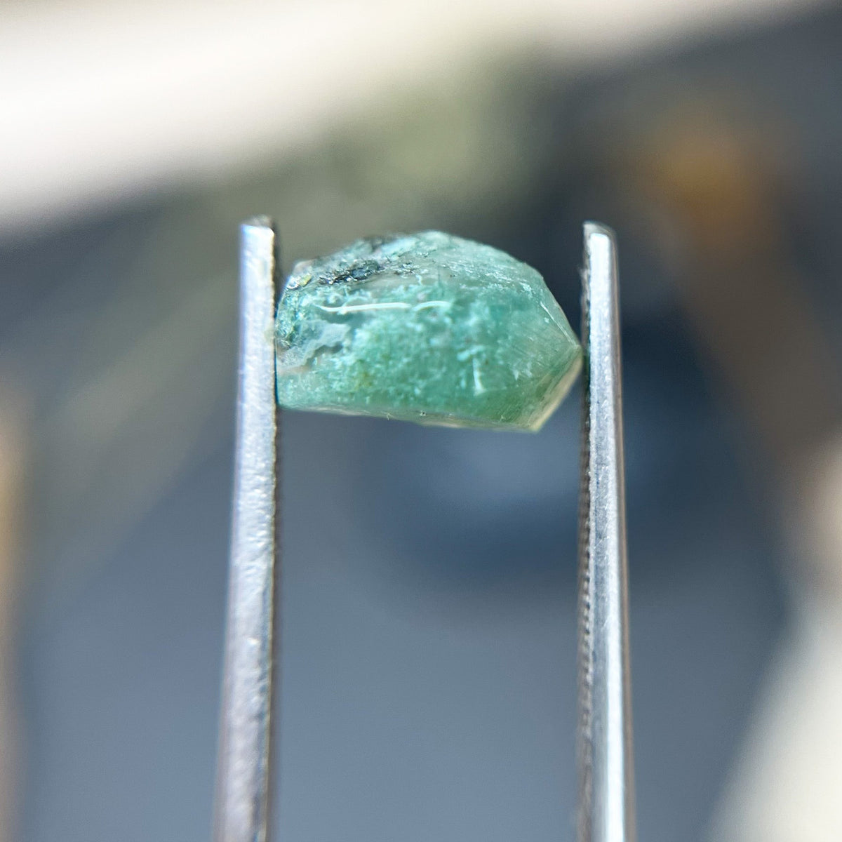Organically Faceted Jade Green Moss Agate