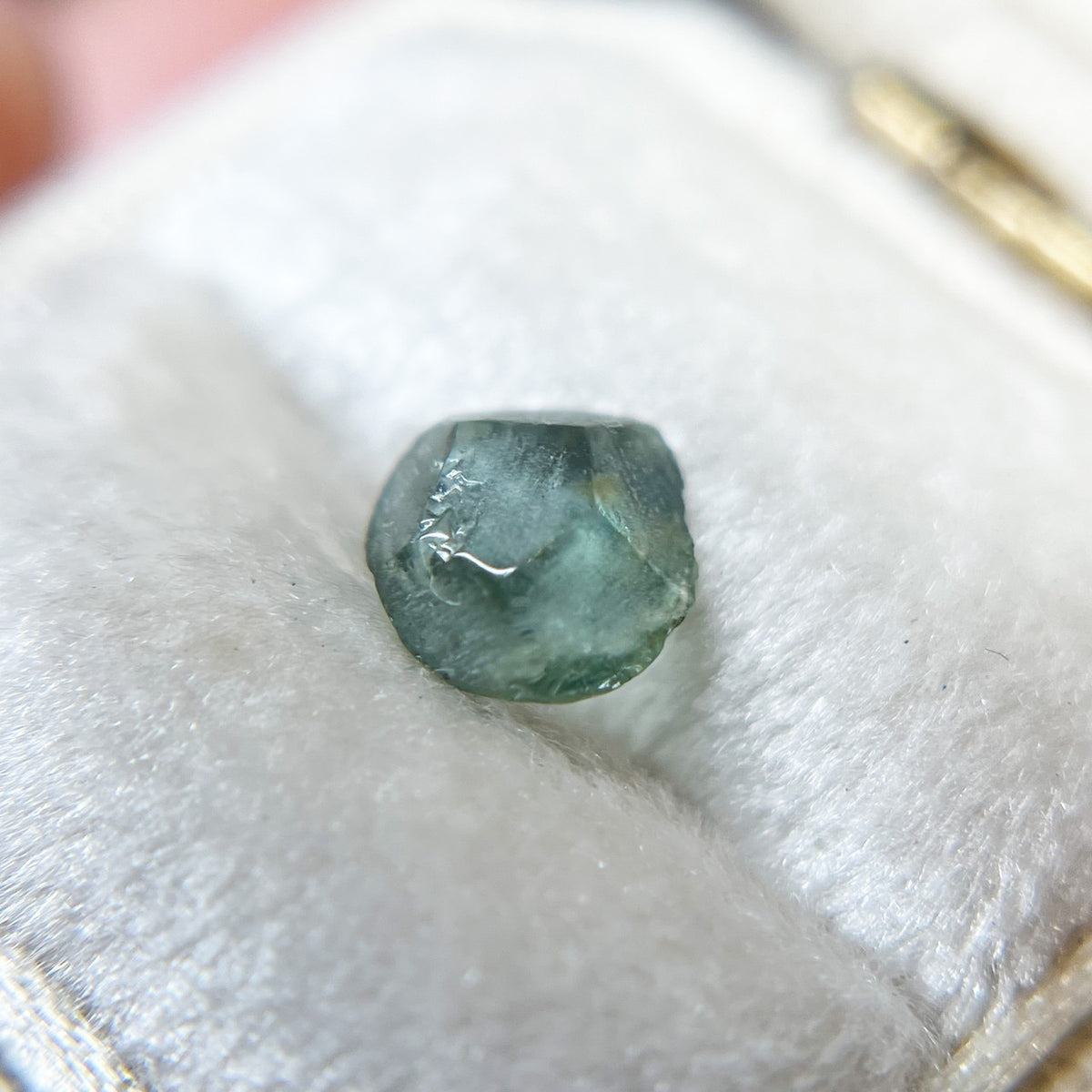 Organically Faceted Montana Sapphire