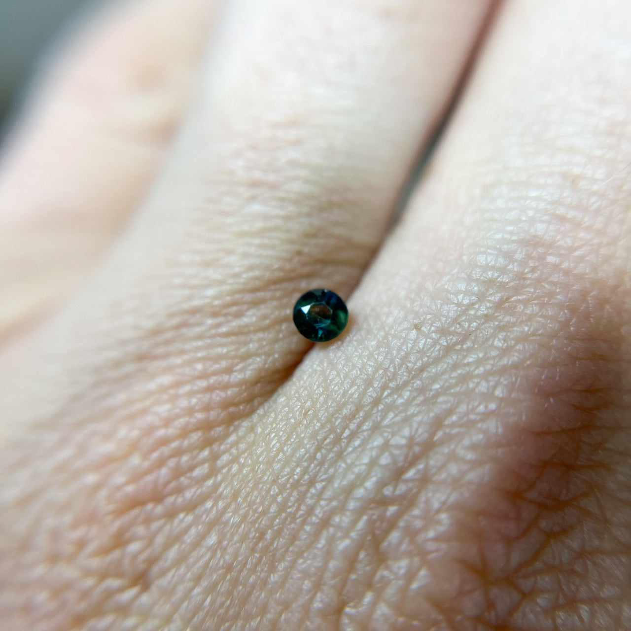Parti Color Australian Sapphire - 1216