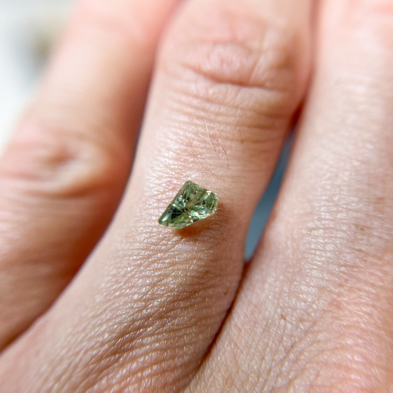 Sea Green Montana Sapphire Freeform Dreamscape™ Cut by John Dyer