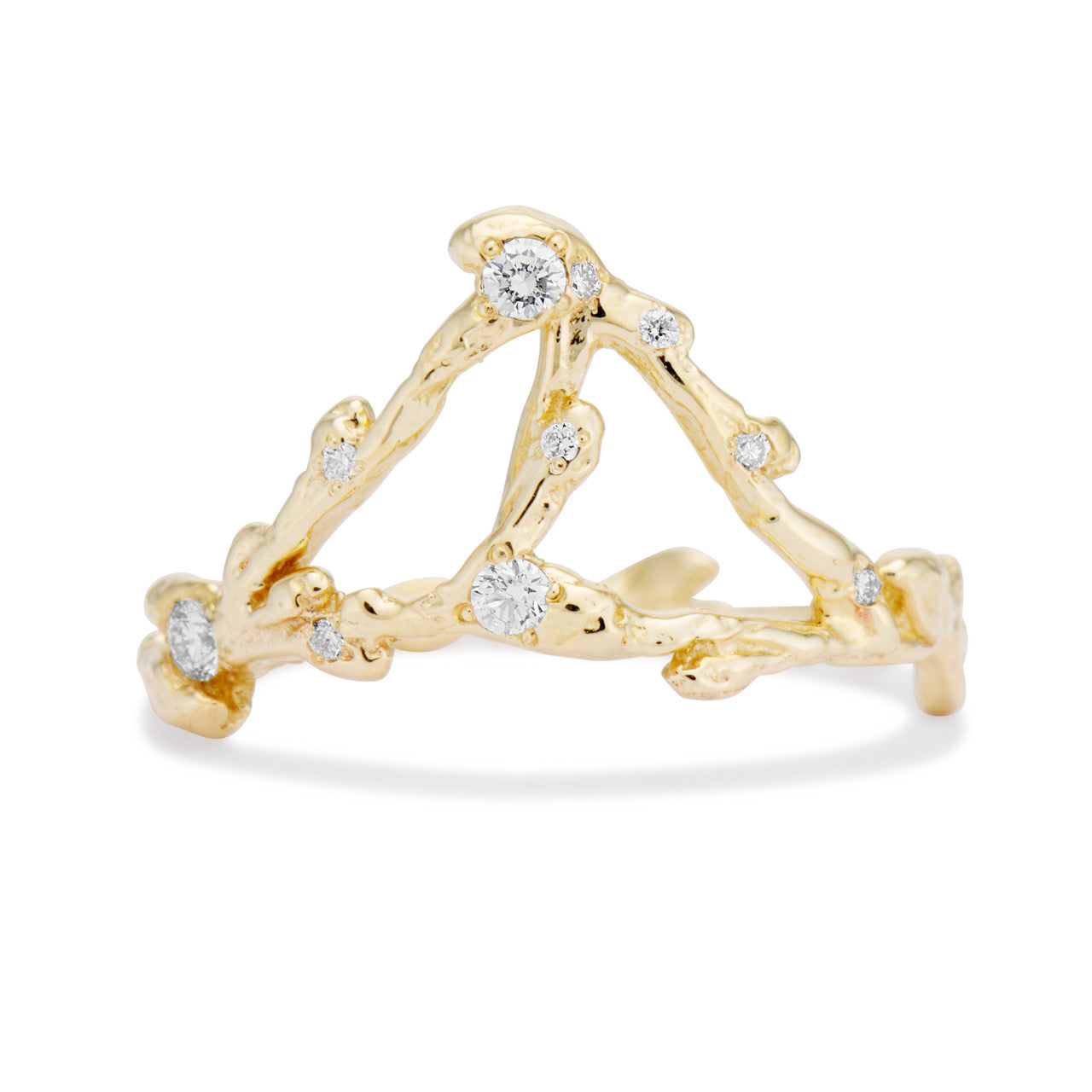 Aquarius Zodiac Constellation Ring