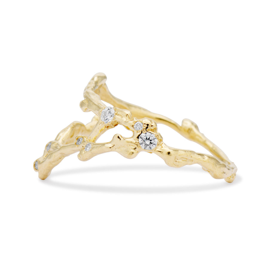 Sagittarius Zodiac Constellation Ring
