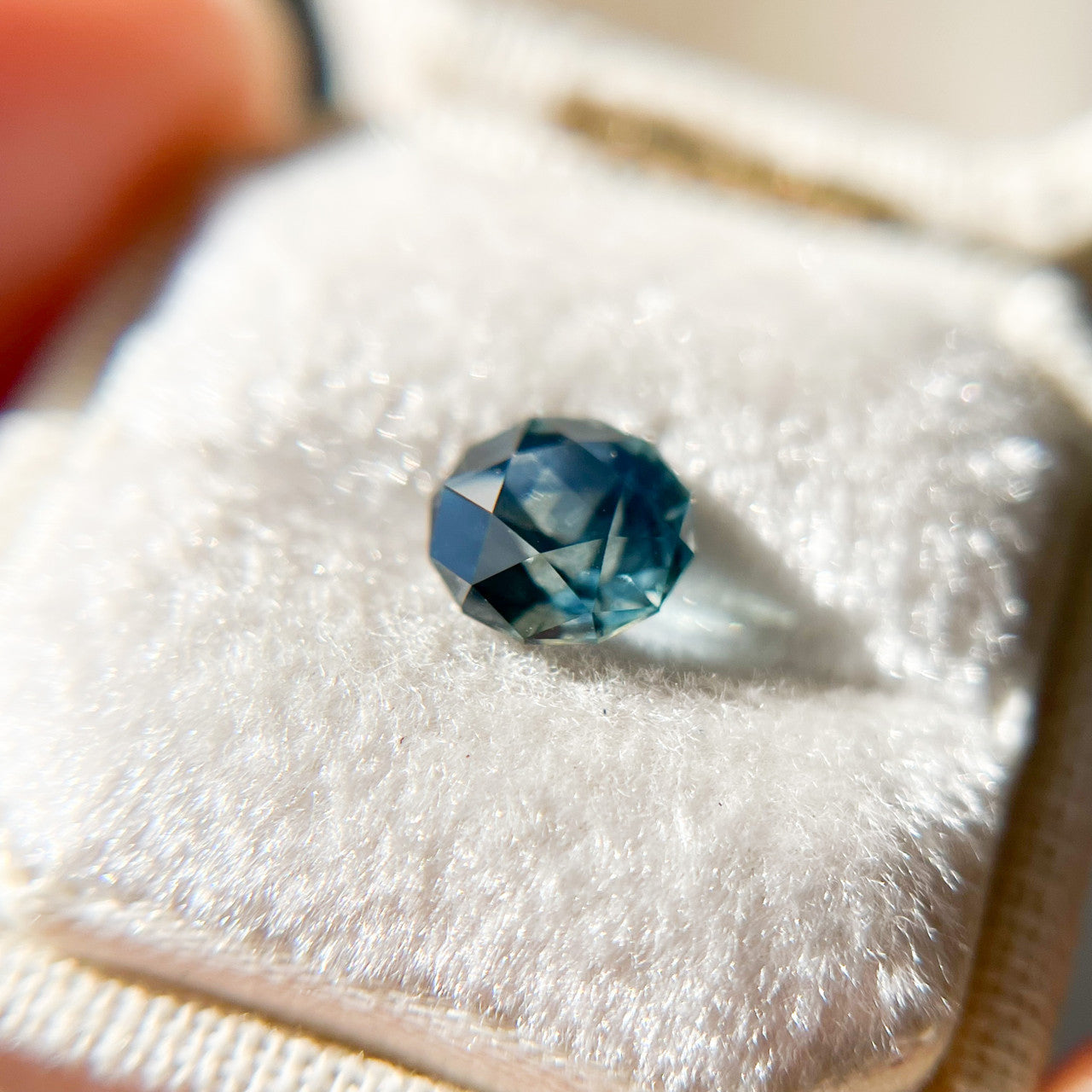 Star Cut Deep Teal Montana Sapphire by Jenna Sloane