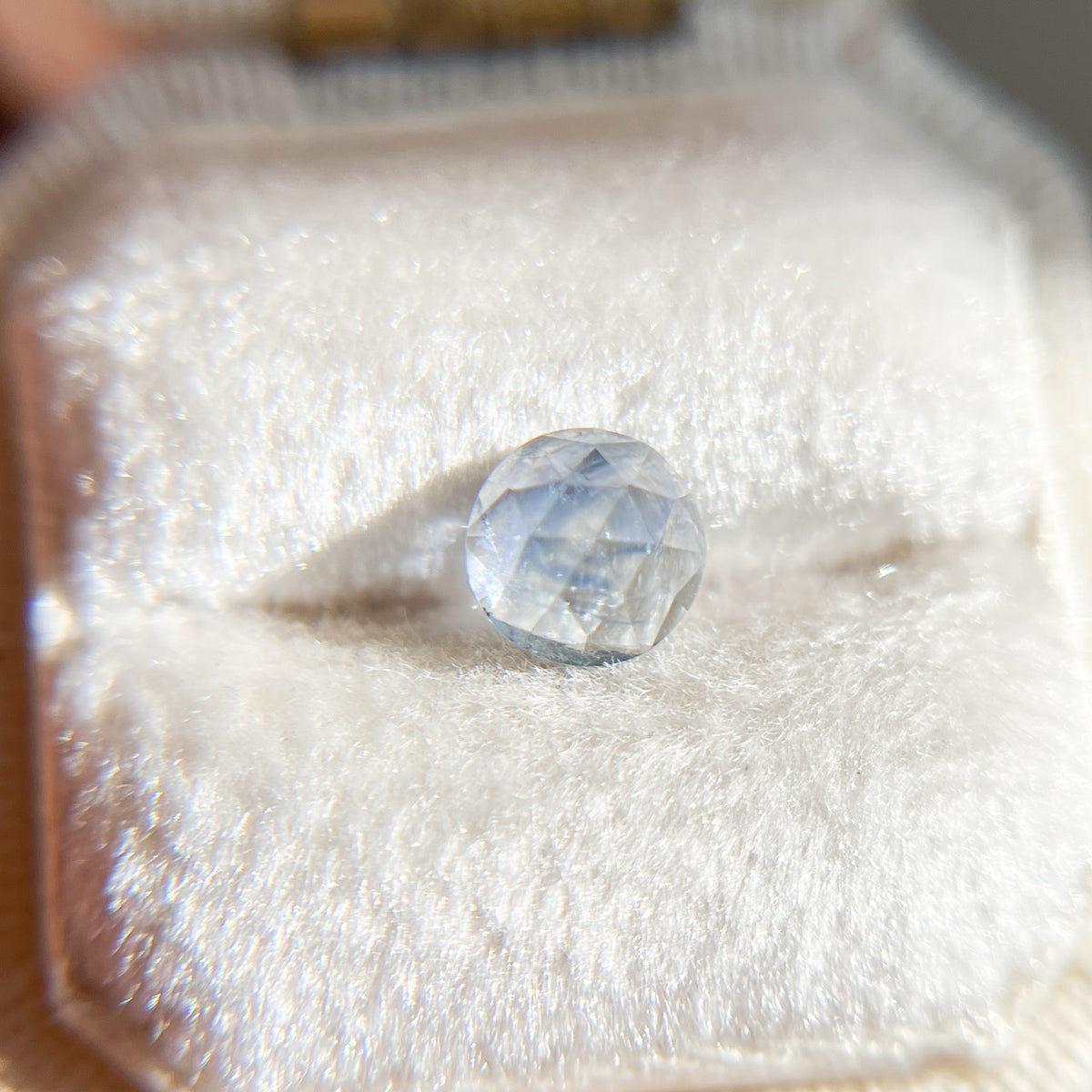 Rose Cut Blue Montana Sapphire