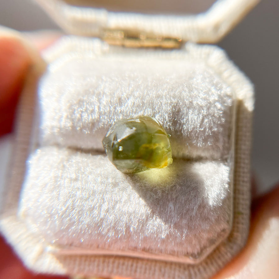 Organically Faceted Parti Color Yellow Green Australian Sapphire