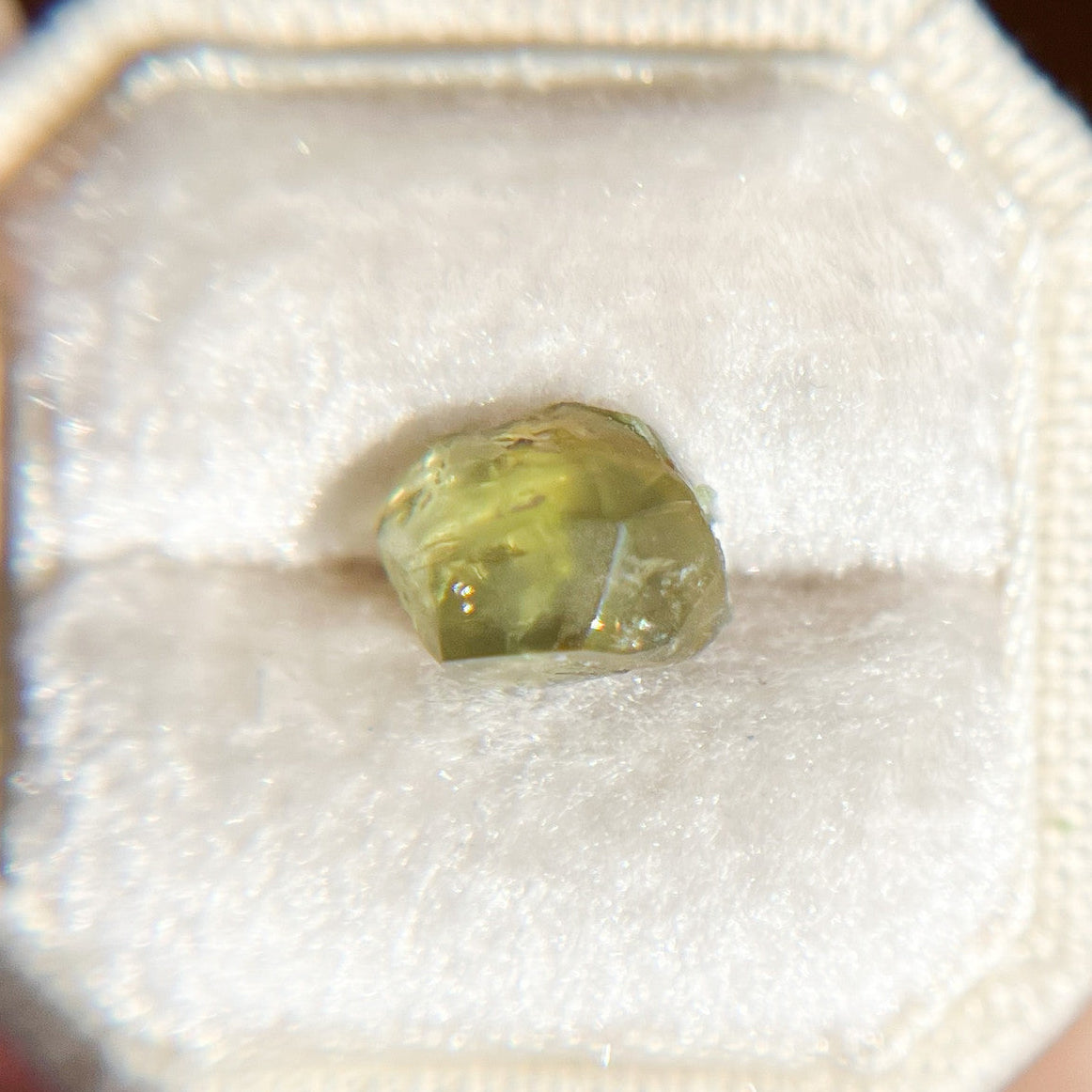Organically Faceted Parti Color Yellow Green Australian Sapphire