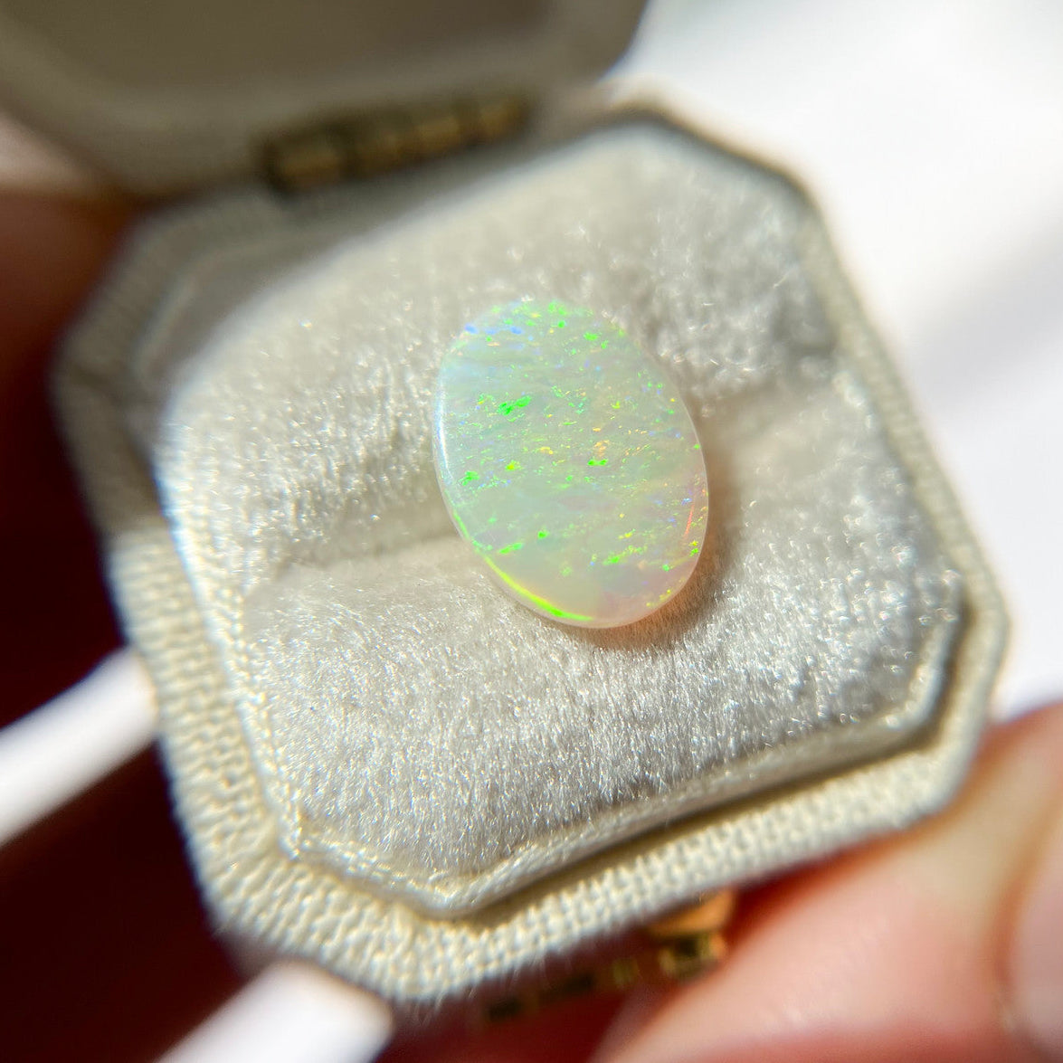 Australian Oval White Opal
