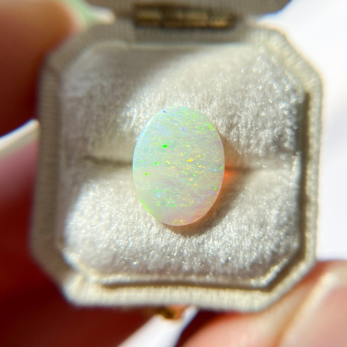 Australian Oval White Opal