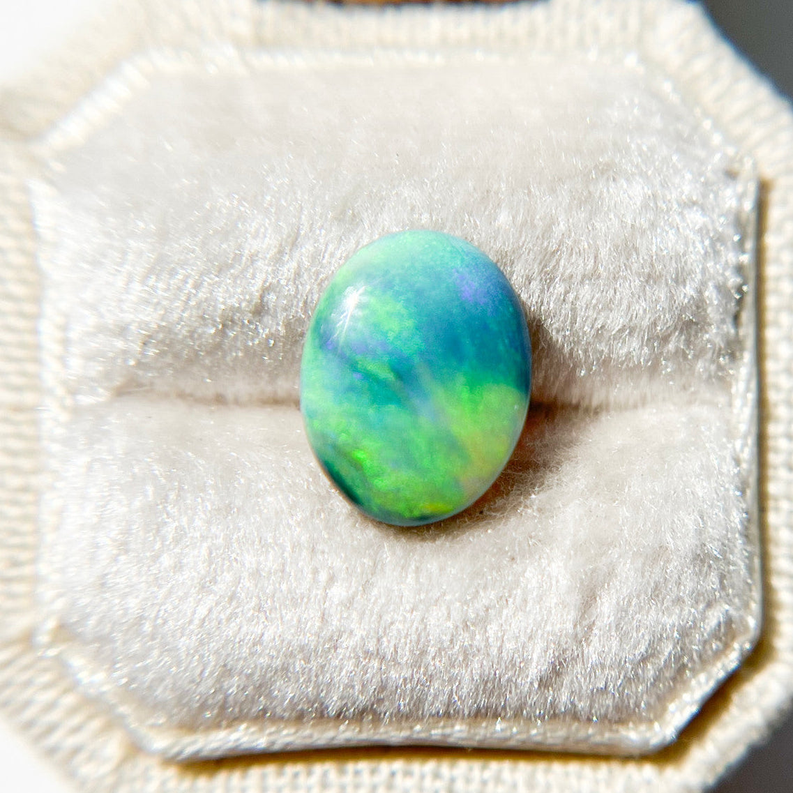 Australian Oval Dark Teal Opal