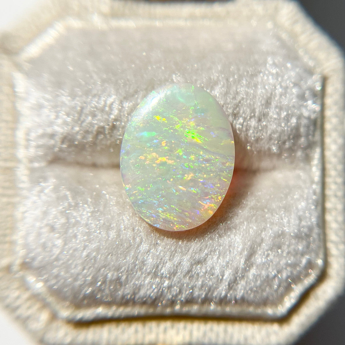 Australian Oval White Opal