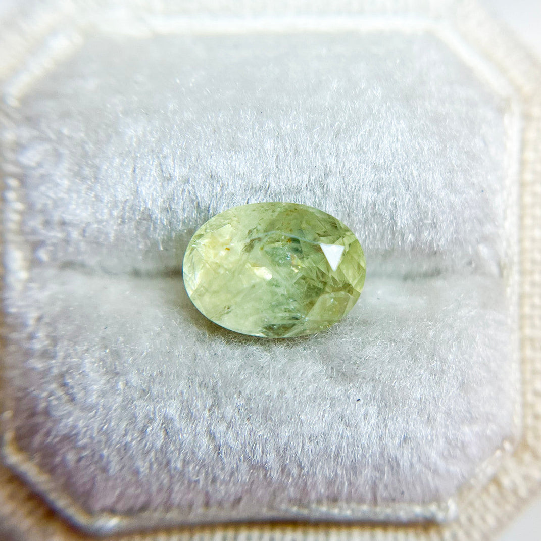 Light Yellow Green Oval Montana Sapphire