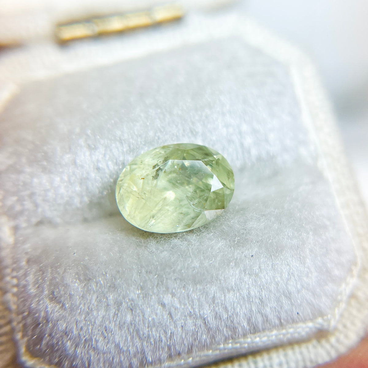 Light Yellow Green Oval Montana Sapphire