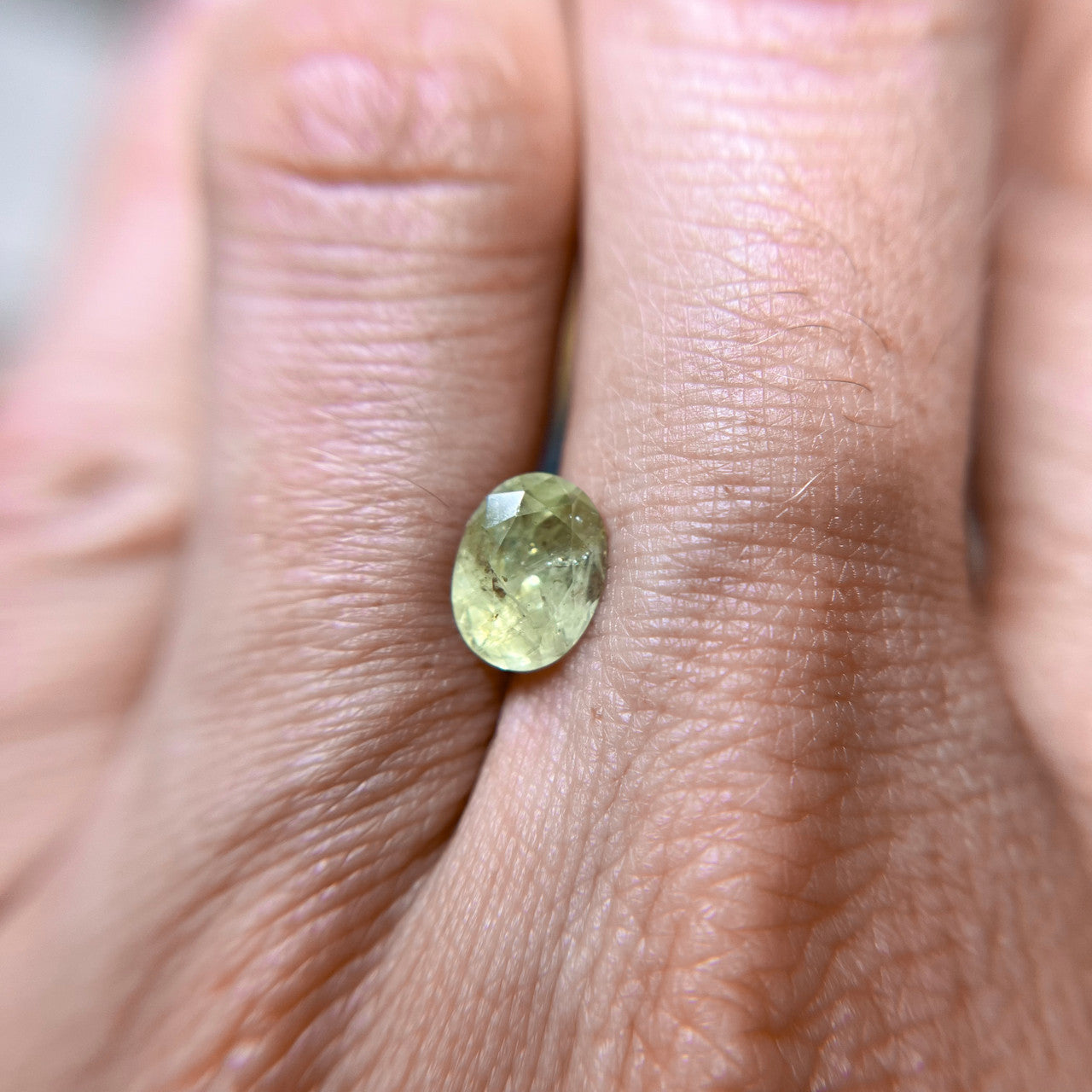 Light Yellow Green Oval Montana Sapphire