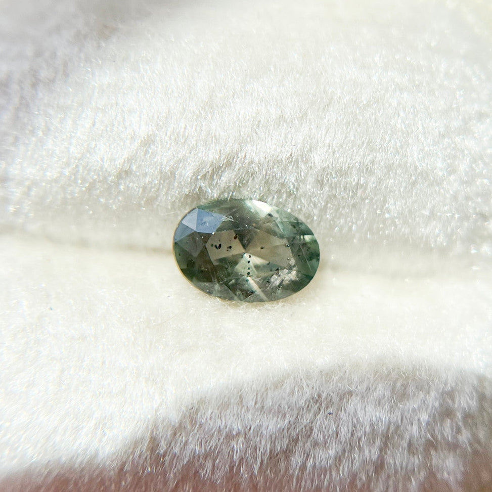 Dark Teal Green Oval Montana Sapphire
