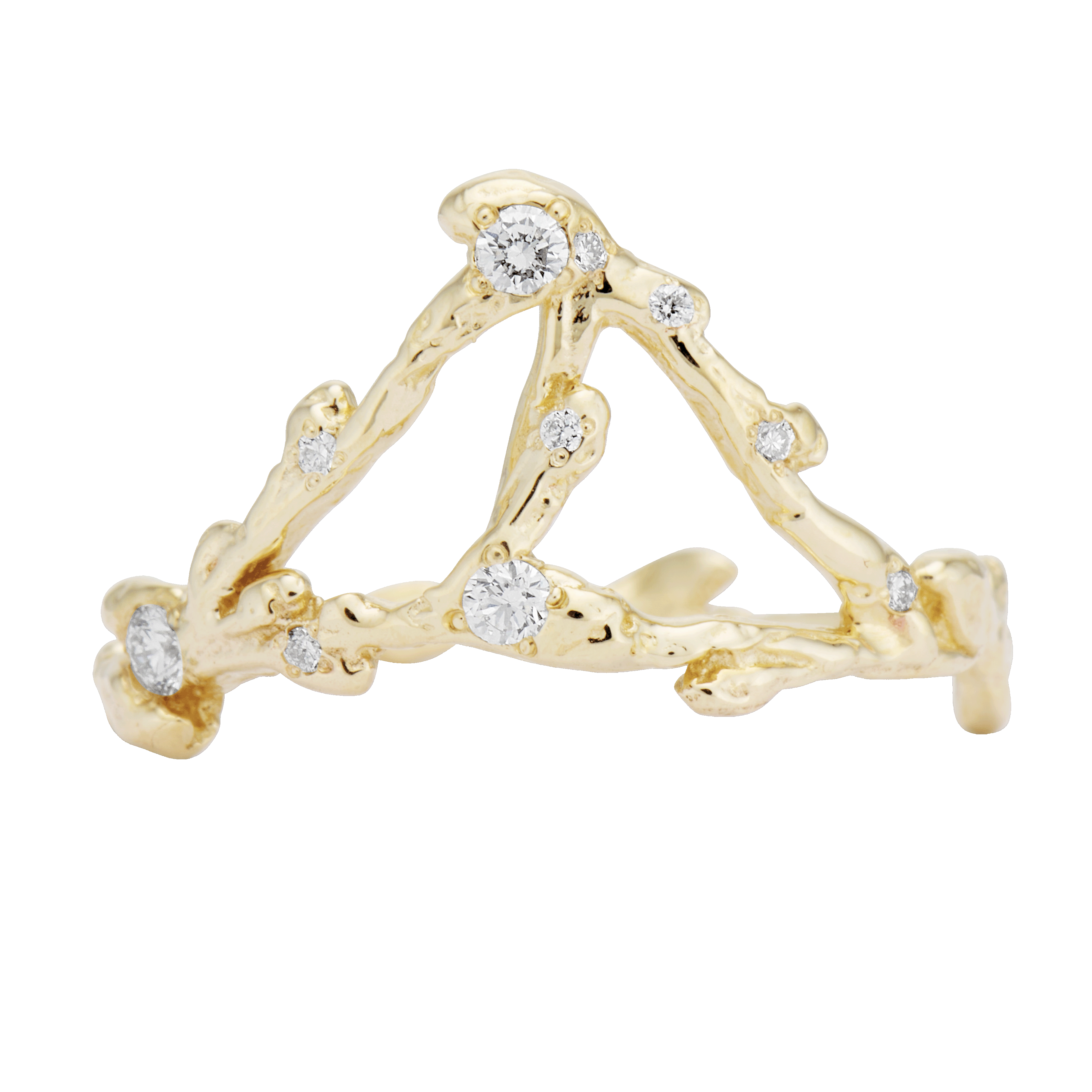 Aquarius Zodiac Constellation Ring