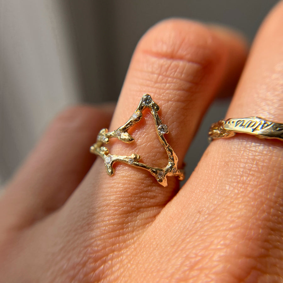 Capricorn Zodiac Constellation Ring