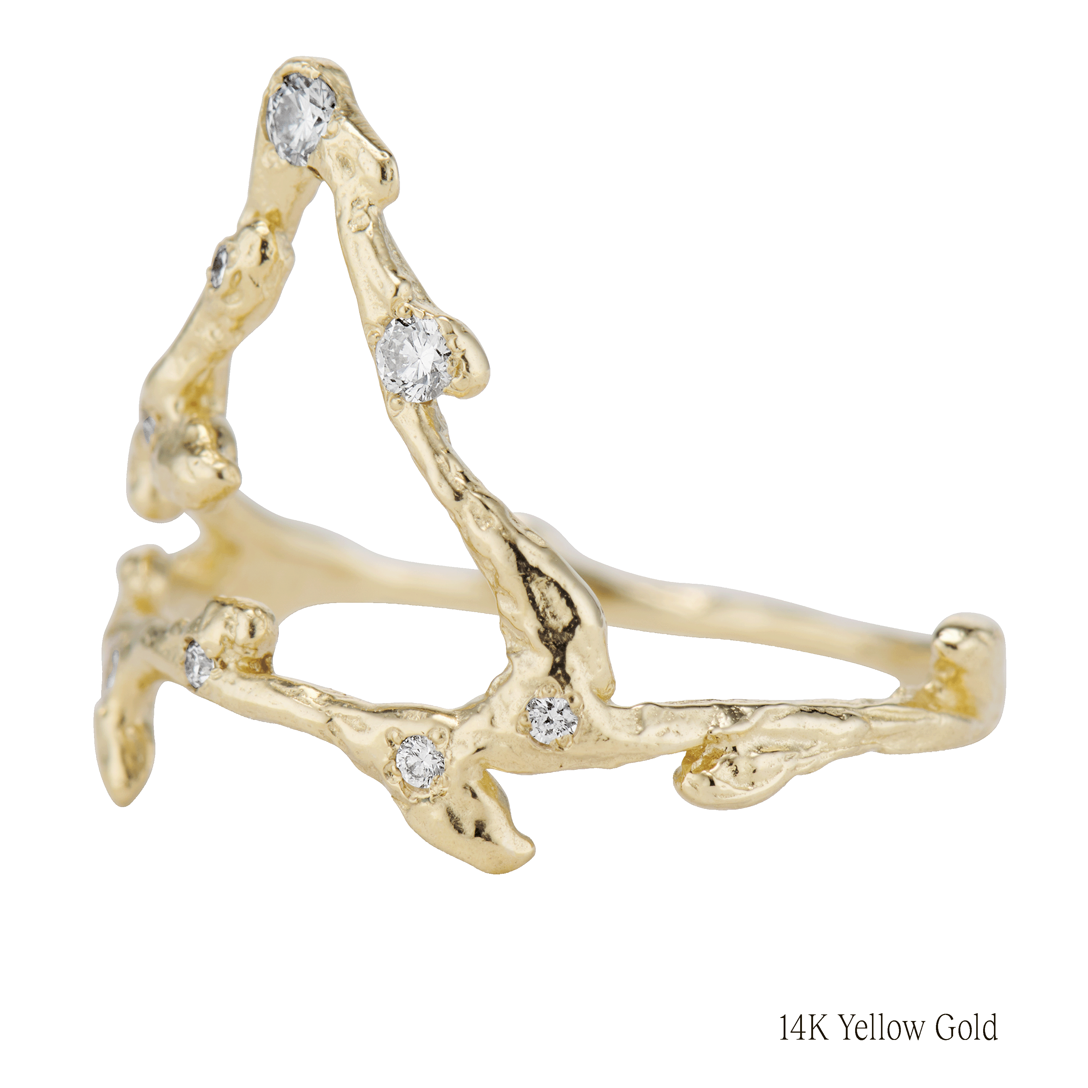 Capricorn Zodiac Constellation Ring