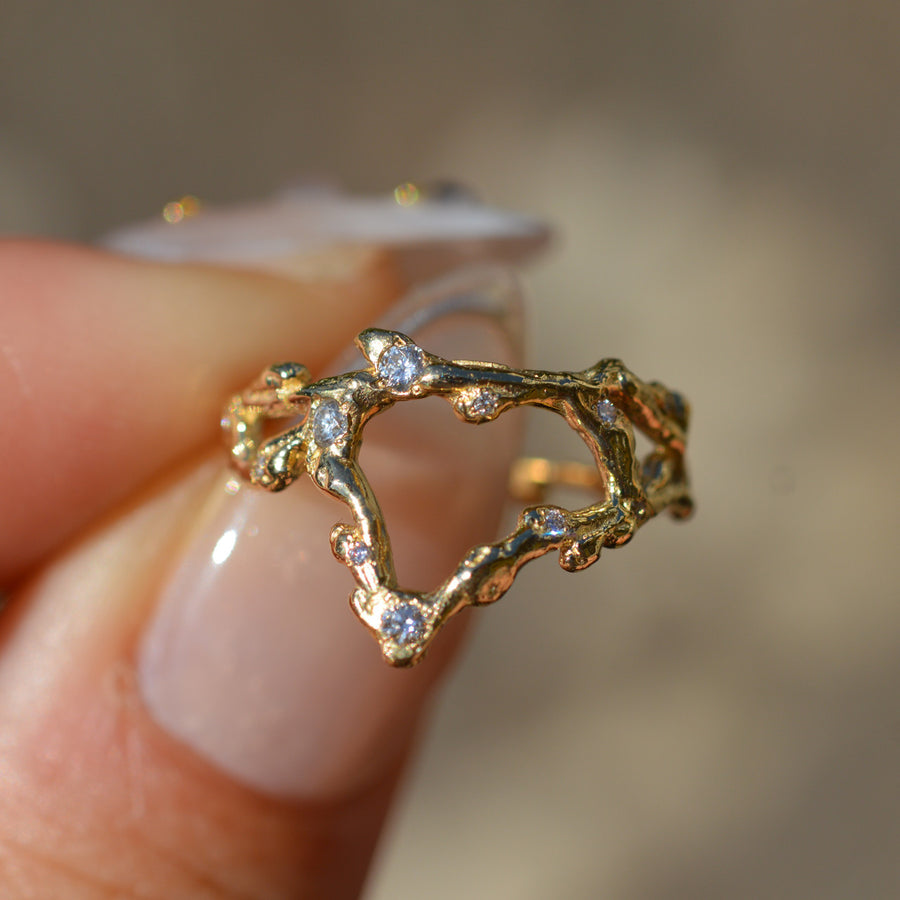 Pisces Zodiac Constellation Ring