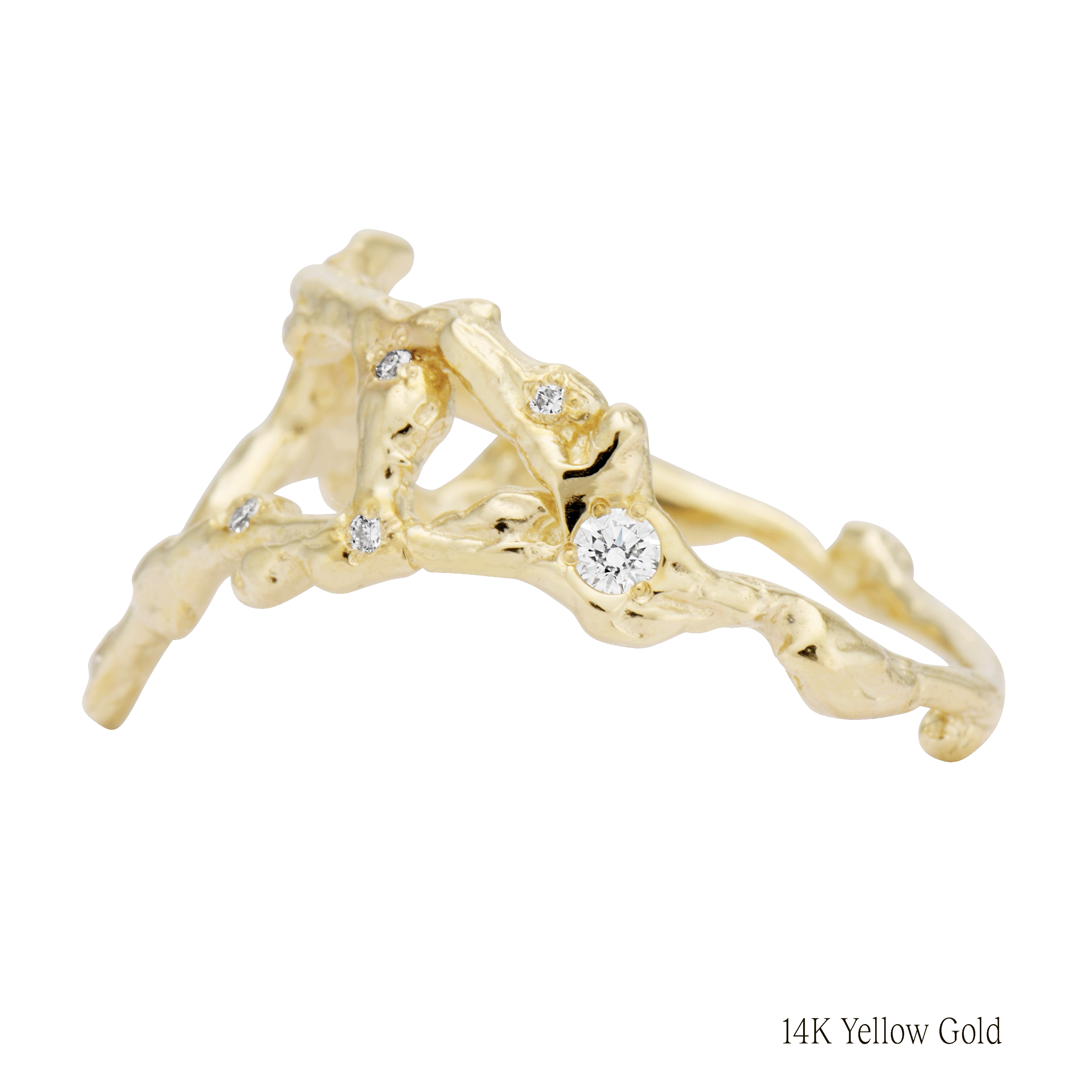 Pisces Zodiac Constellation Ring
