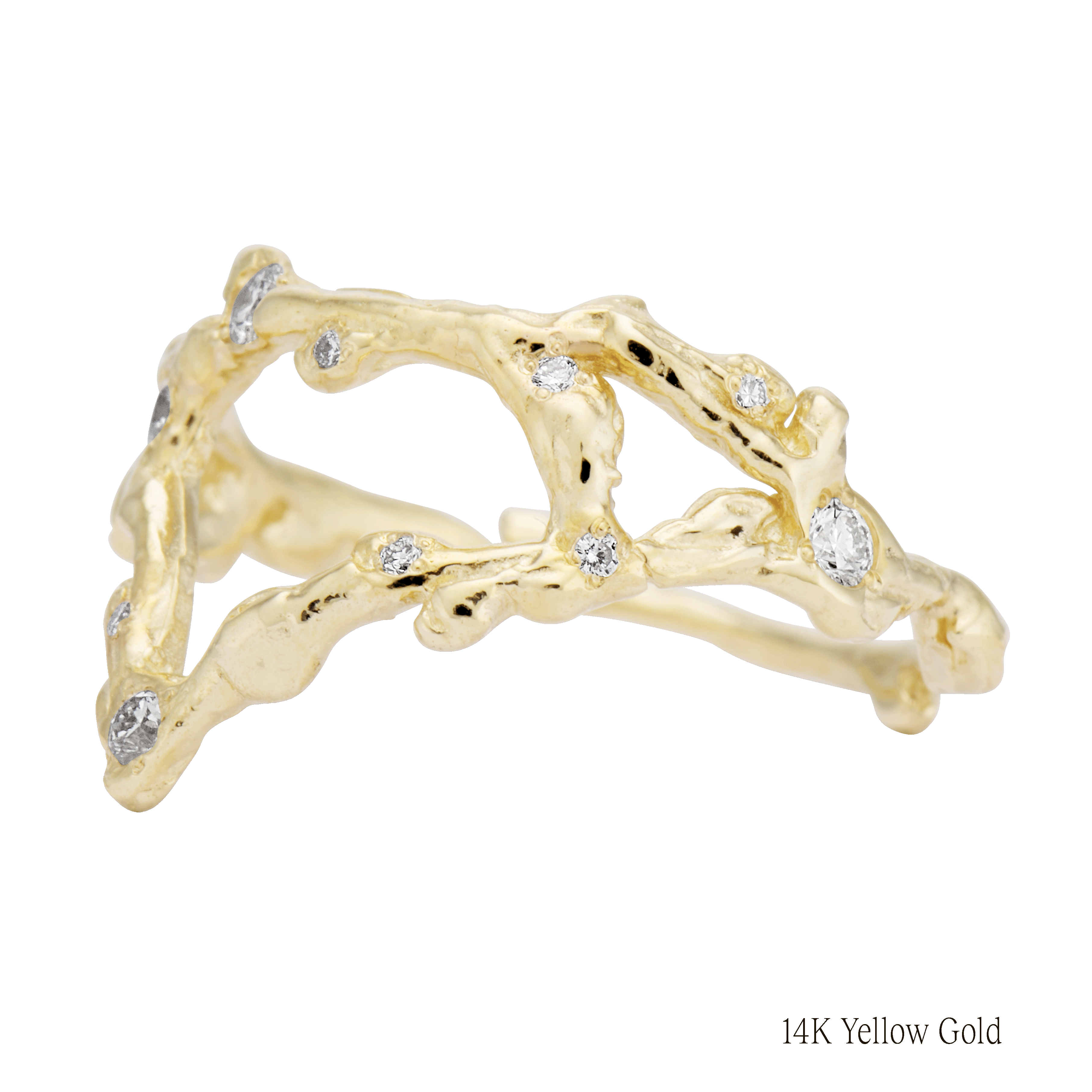Pisces Zodiac Constellation Ring
