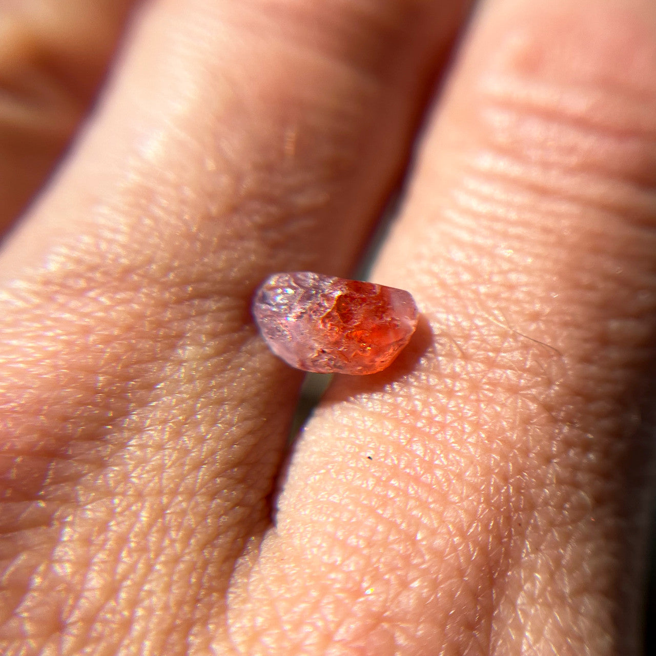 Rough Uncut Pink Orange Montana Sapphire