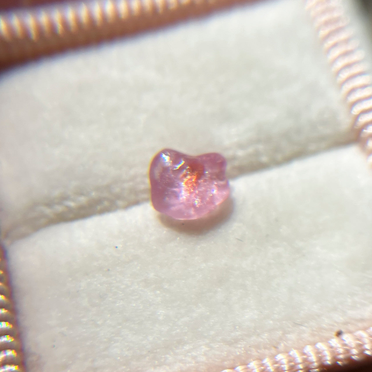 Rough Uncut Pink Orange Bicolor Montana Sapphire