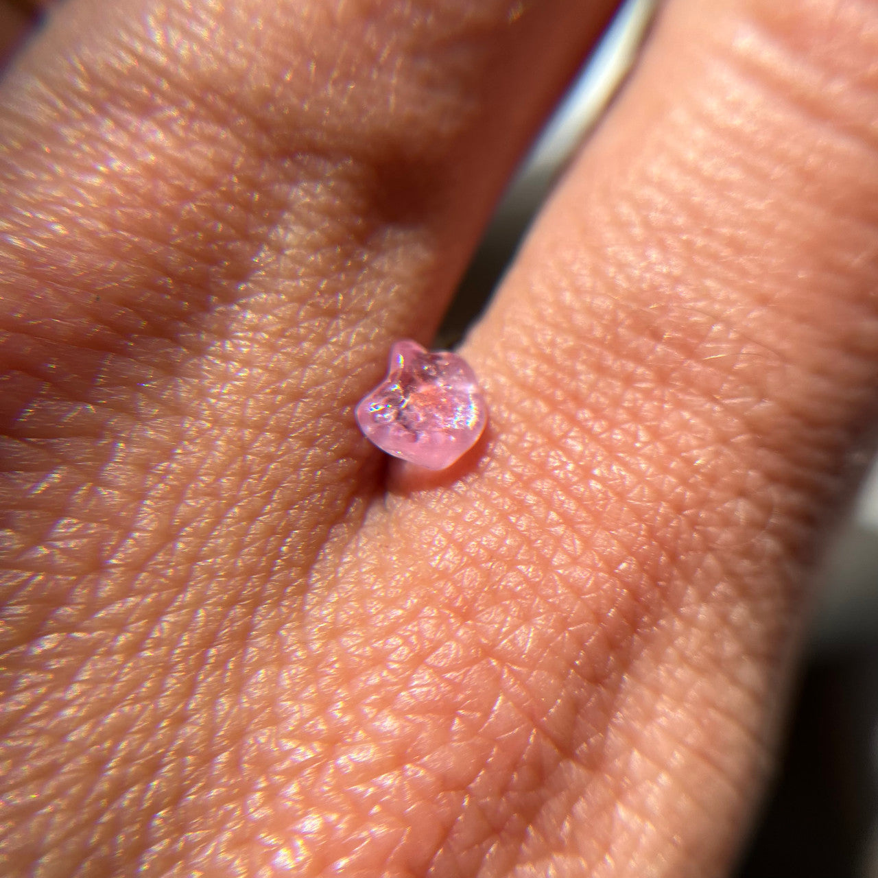 Rough Uncut Pink Orange Bicolor Montana Sapphire