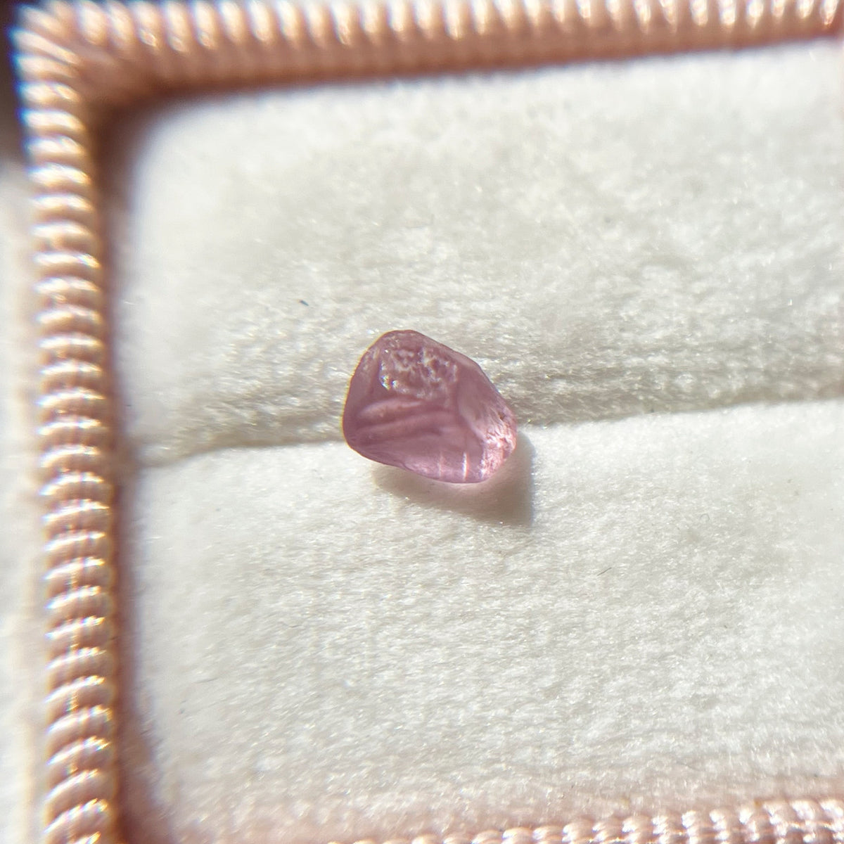 Rough Uncut Pink Montana Sapphire