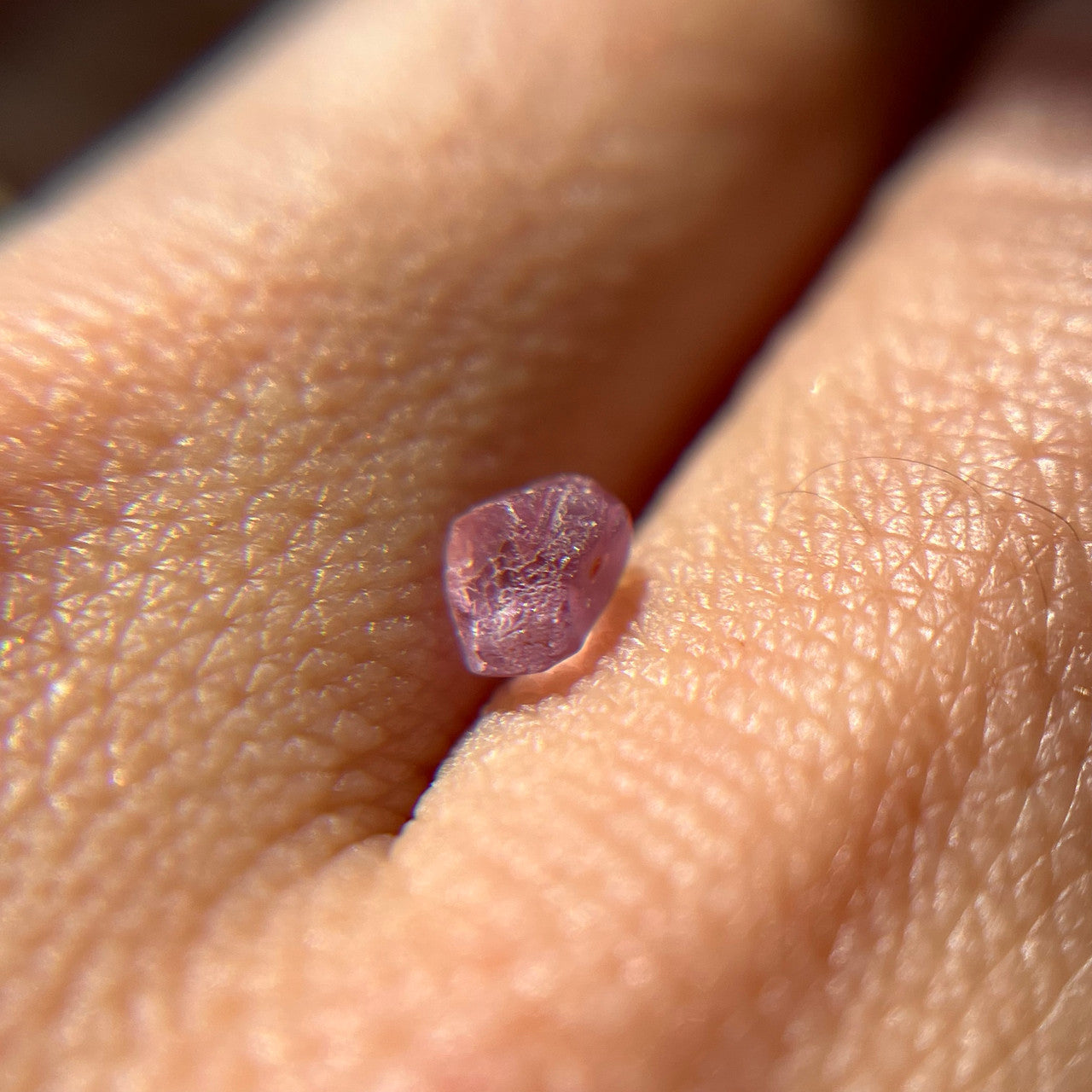 Rough Uncut Pink Montana Sapphire