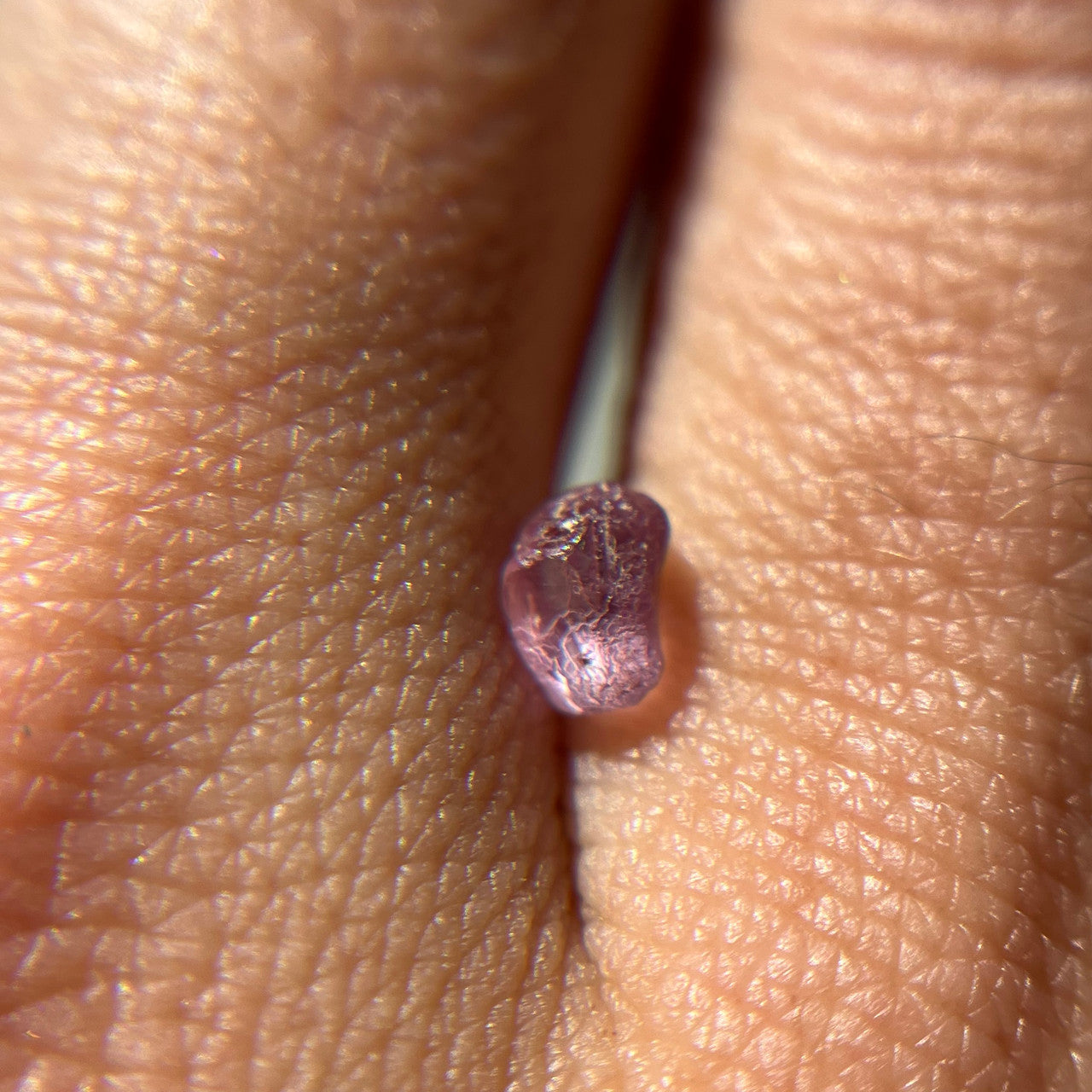 Rough Uncut Pink Montana Sapphire