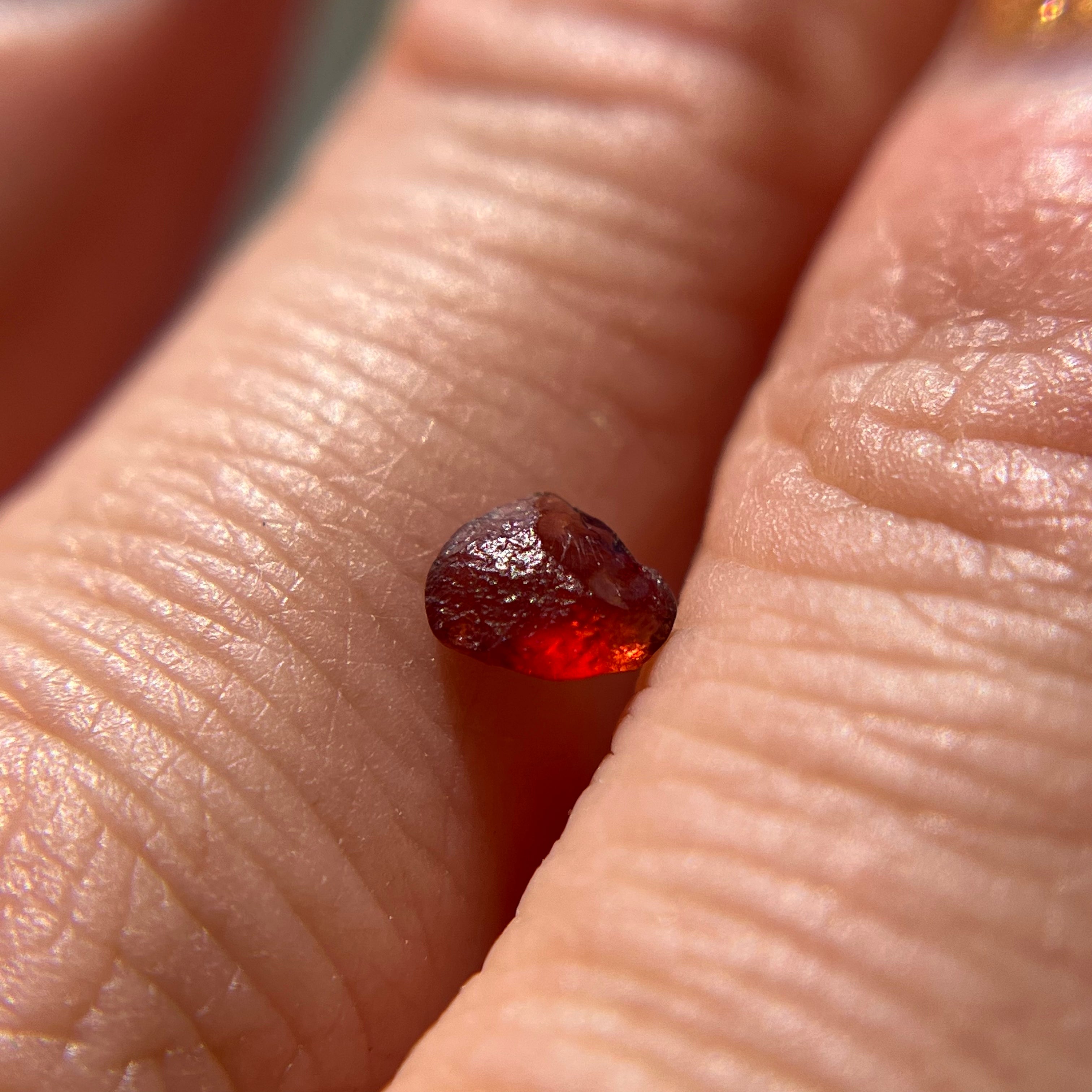 Rough Uncut Rust Red Montana Sapphire 1030