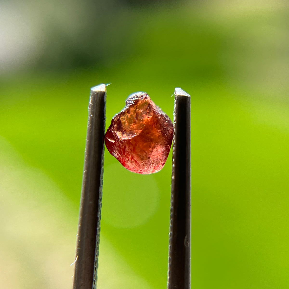 Rough Uncut Rust Red Montana Sapphire 1030