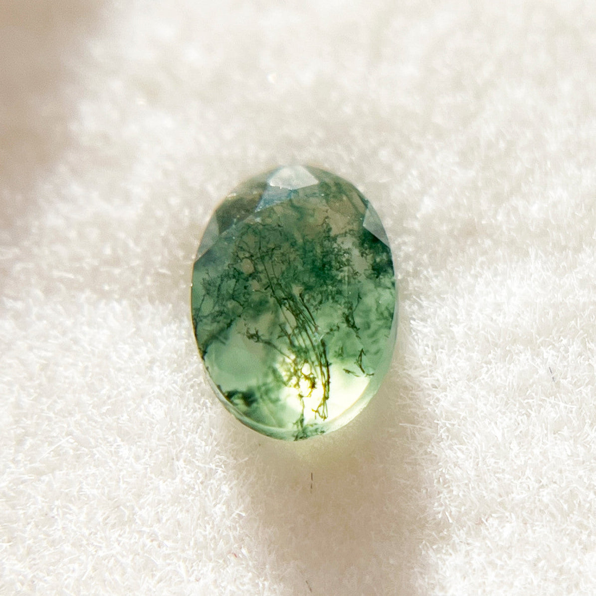 Oval Maple Tree Moss Agate