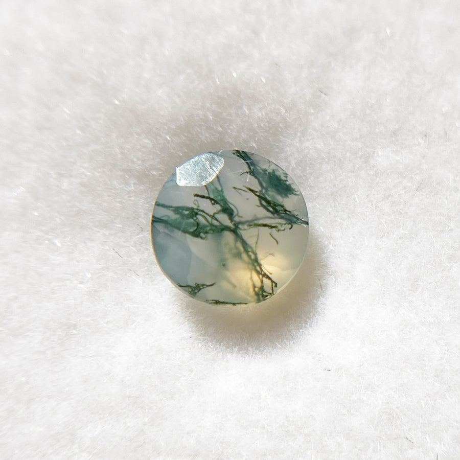 Intricately Veined Round Cut Moss Agate