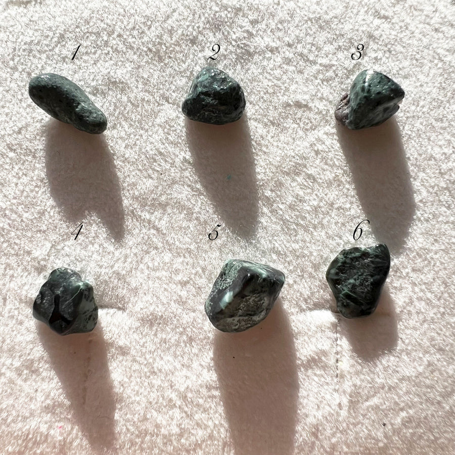 Rough Chlorastrolite