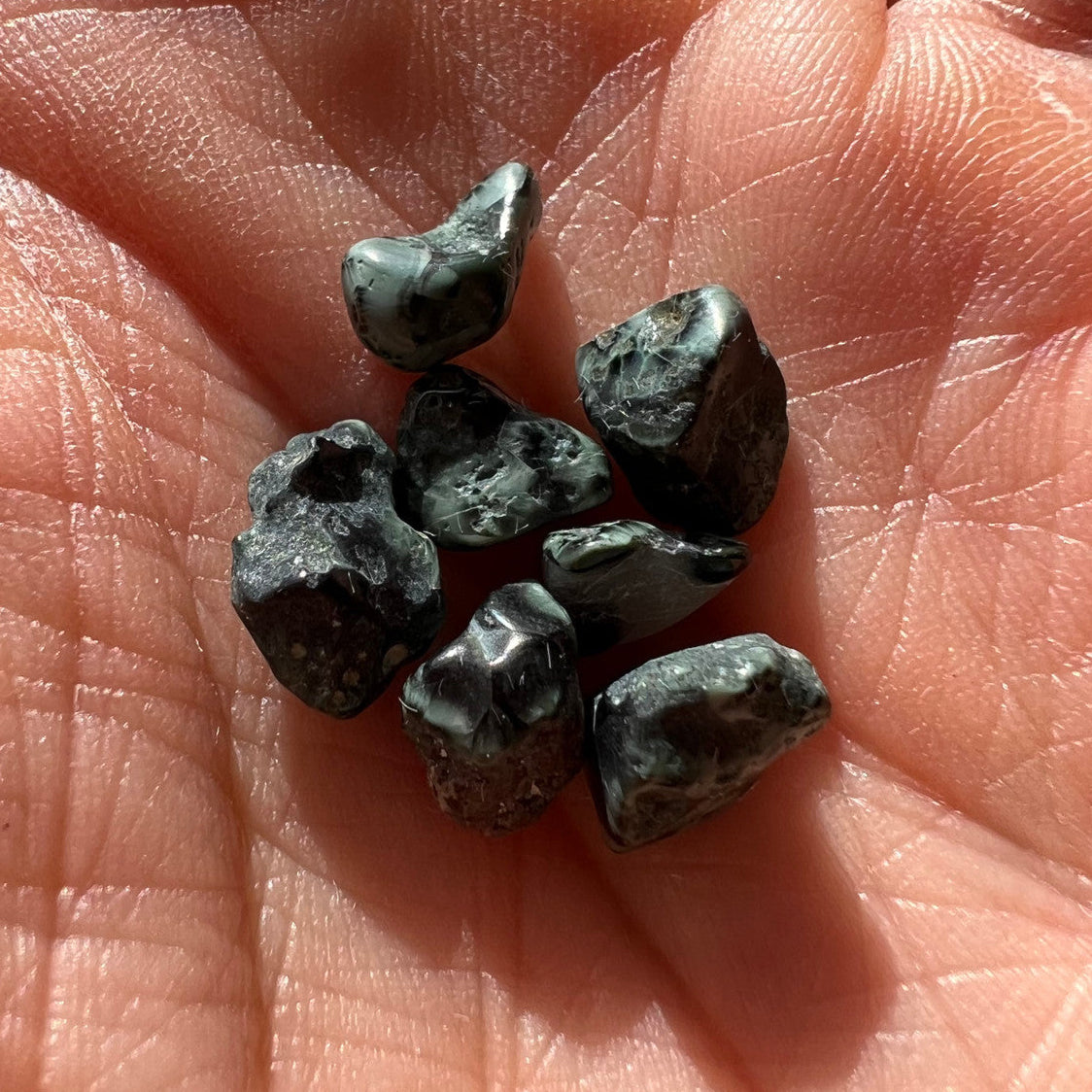Rough Chlorastrolite