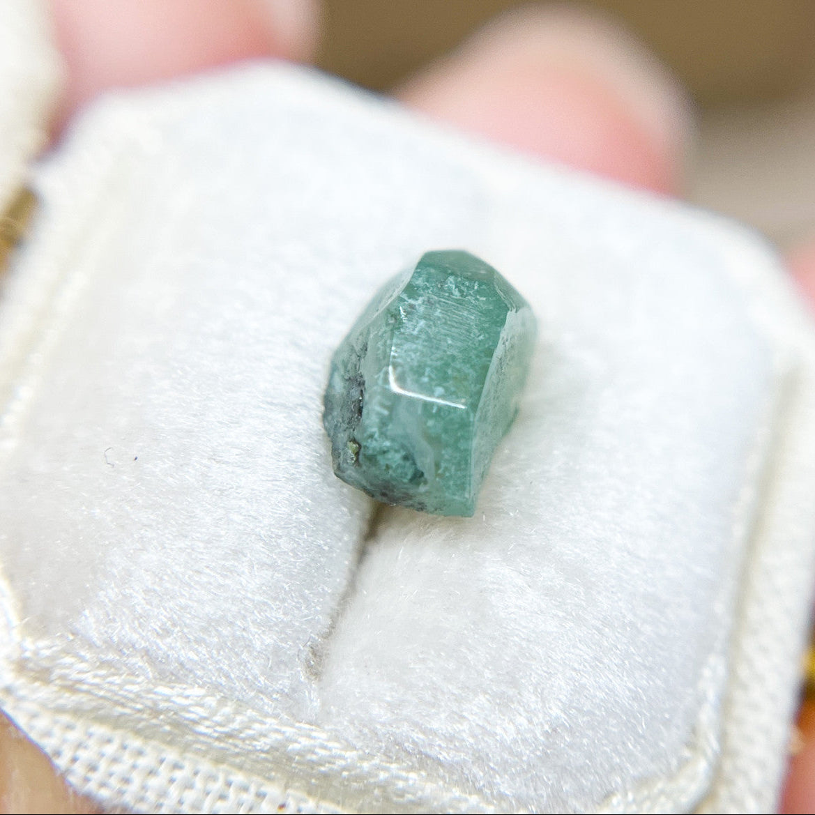 Organically Faceted Jade Green Moss Agate
