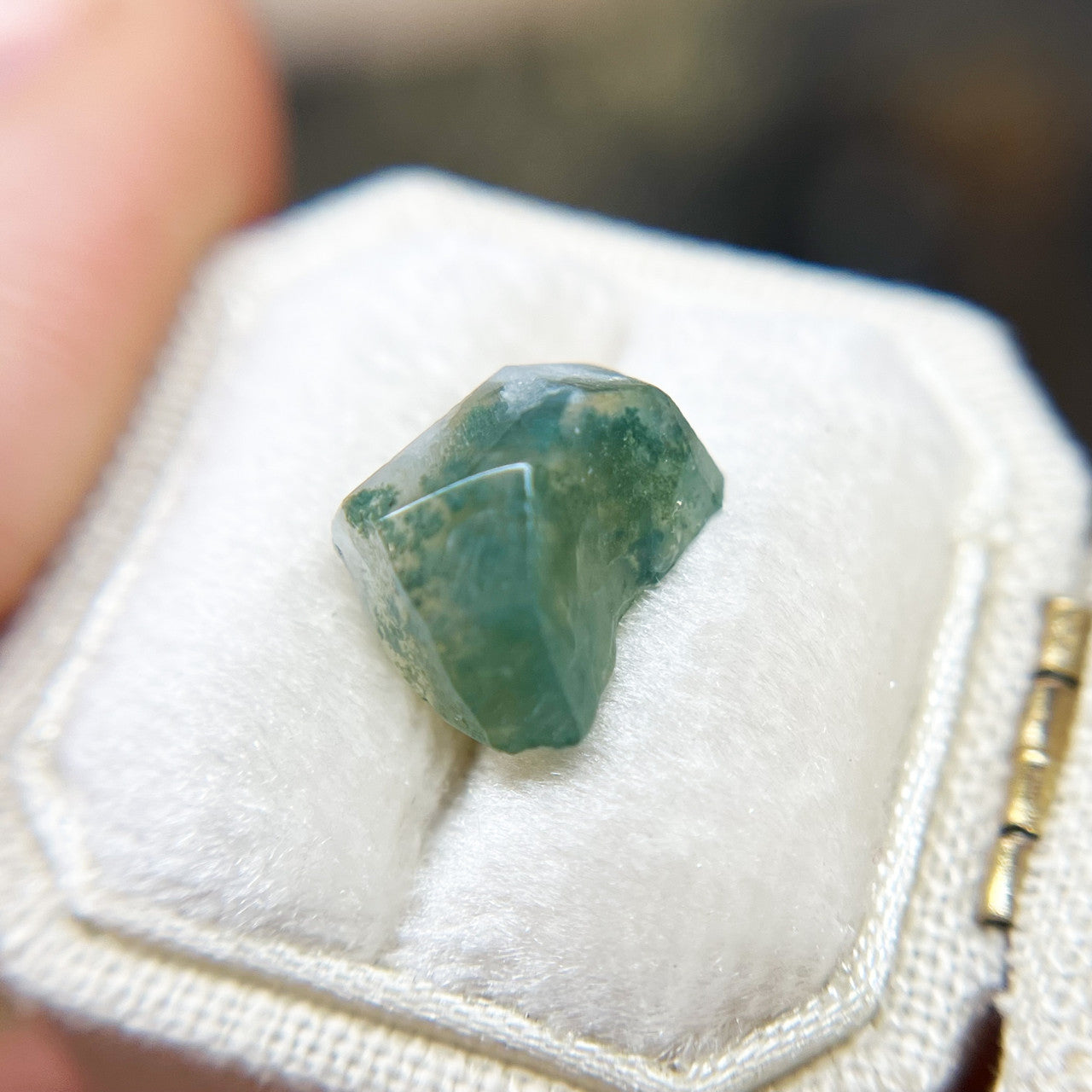 Organically Faceted  Creamy Moss Agate
