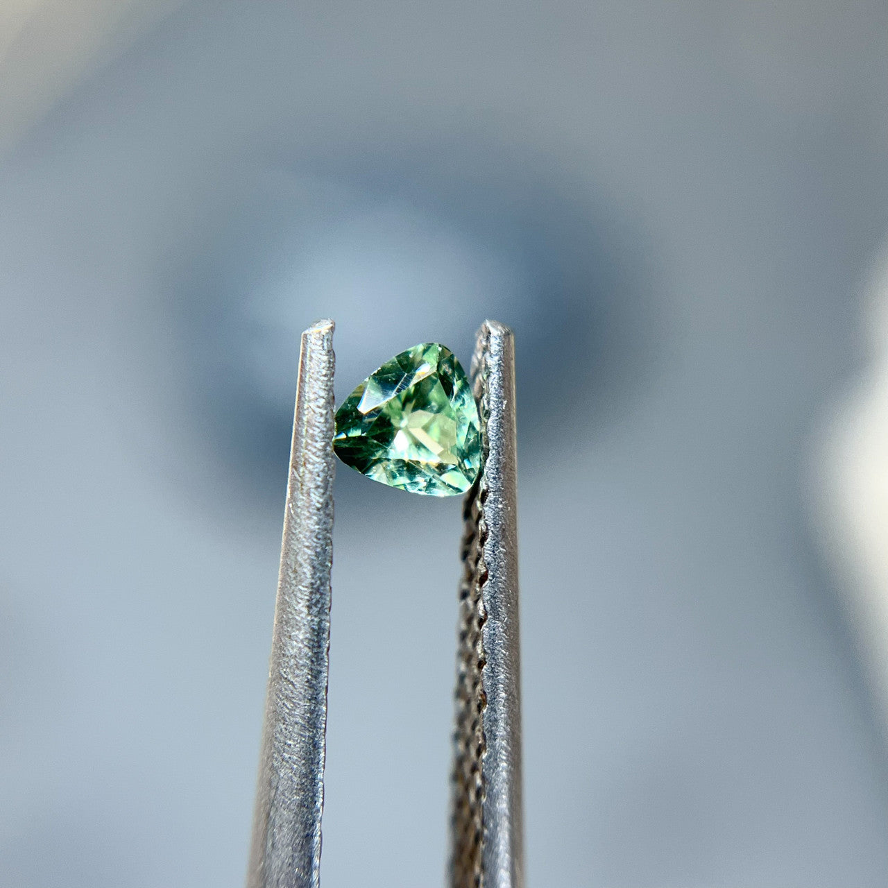 Trillion Cut Maine Tourmaline